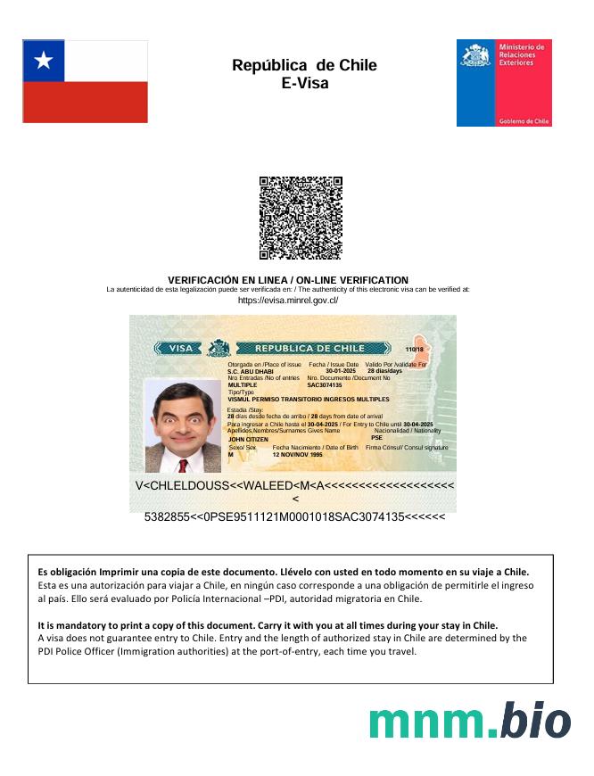 Szablon e-visa do Chile ze wszystkimi czcionkami
